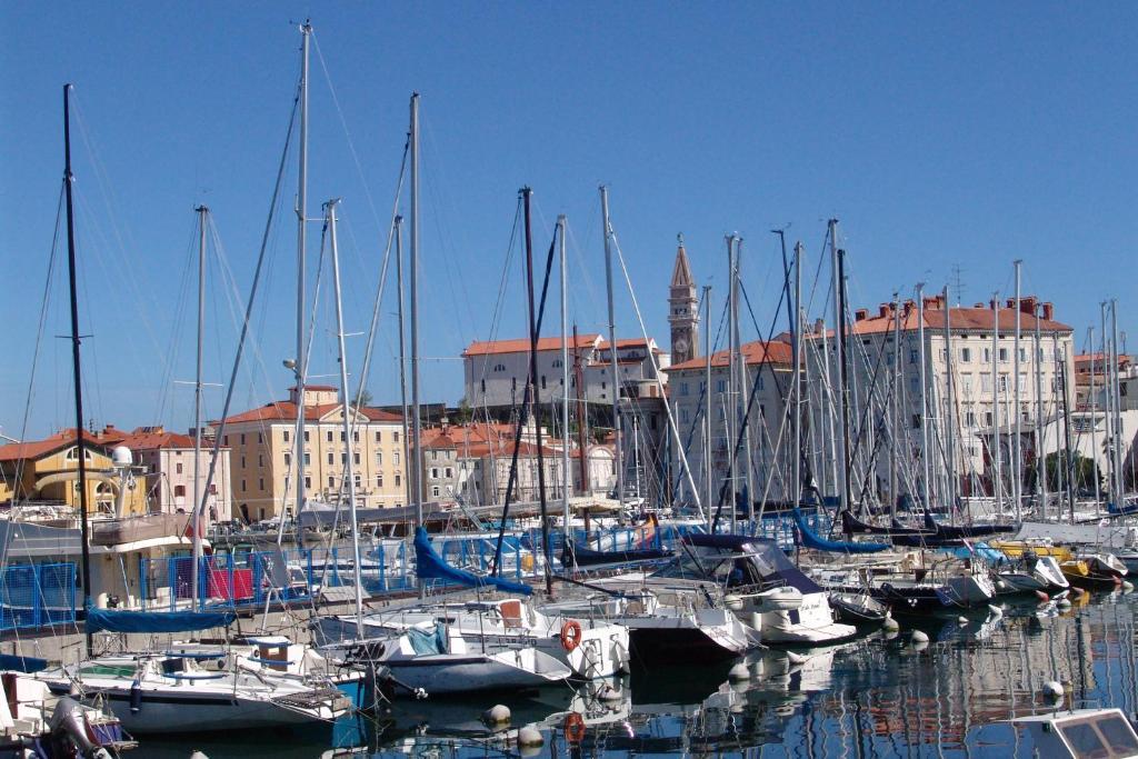 Apartments Piran Exteriér fotografie